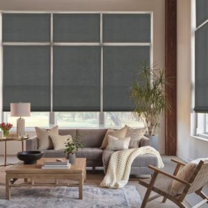 Hunter Douglas Blinds